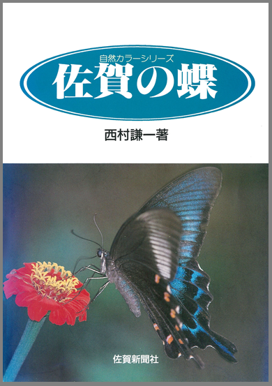 佐賀の蝶